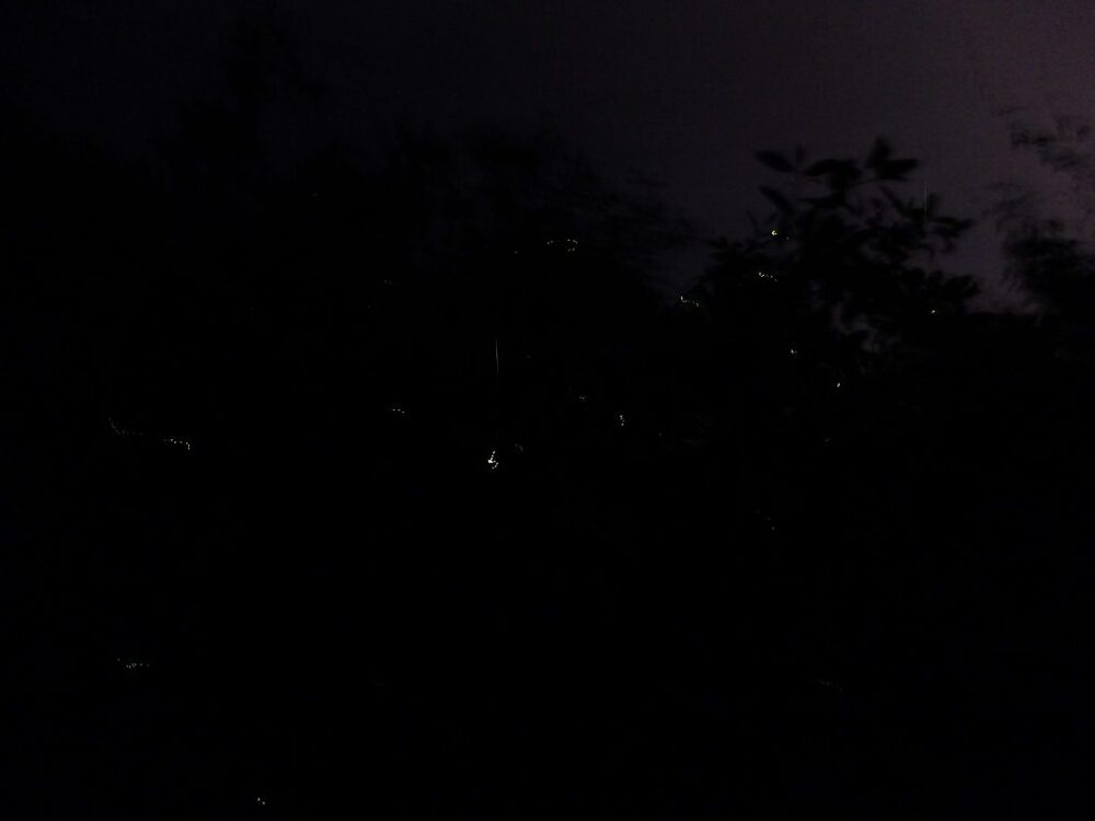 Landscape header placeholder