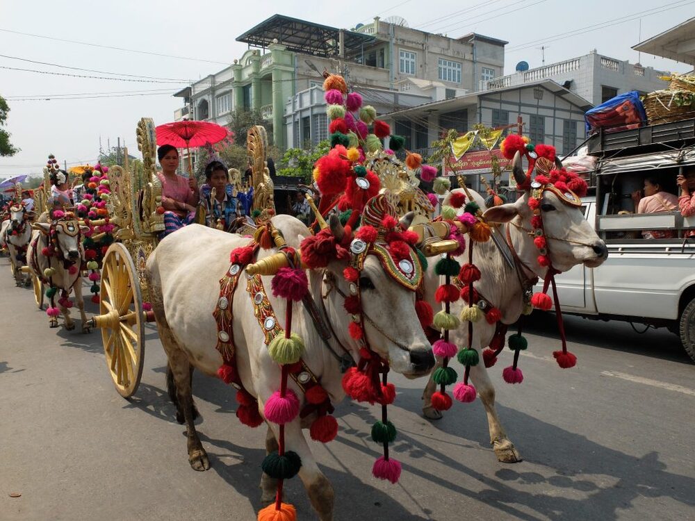 Landscape header placeholder